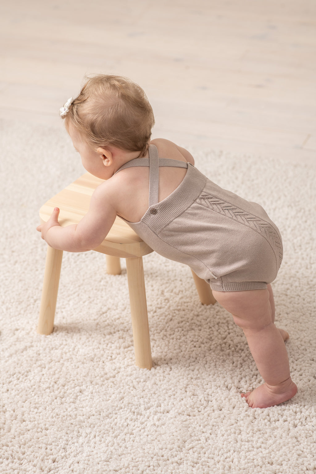 Scallion and Crispy Shallot